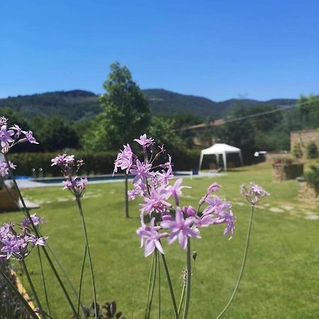 Bed and Breakfast Alba Morus Bed E Breakfast Sentiti A Casa Nel Cuore Della Toscana à Arezzo Extérieur photo