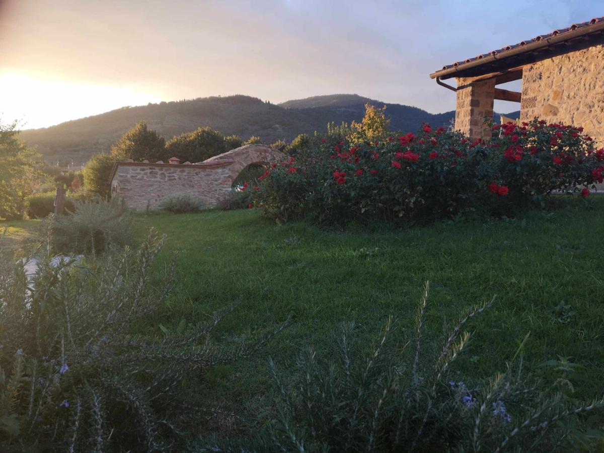 Bed and Breakfast Alba Morus Bed E Breakfast Sentiti A Casa Nel Cuore Della Toscana à Arezzo Extérieur photo