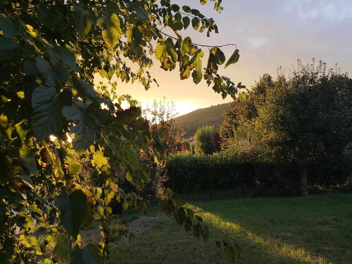 Bed and Breakfast Alba Morus Bed E Breakfast Sentiti A Casa Nel Cuore Della Toscana à Arezzo Extérieur photo