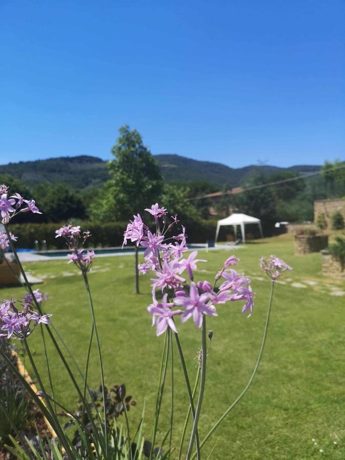 Bed and Breakfast Alba Morus Bed E Breakfast Sentiti A Casa Nel Cuore Della Toscana à Arezzo Extérieur photo