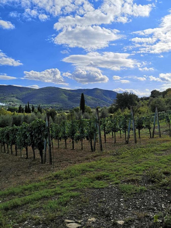 Bed and Breakfast Alba Morus Bed E Breakfast Sentiti A Casa Nel Cuore Della Toscana à Arezzo Extérieur photo