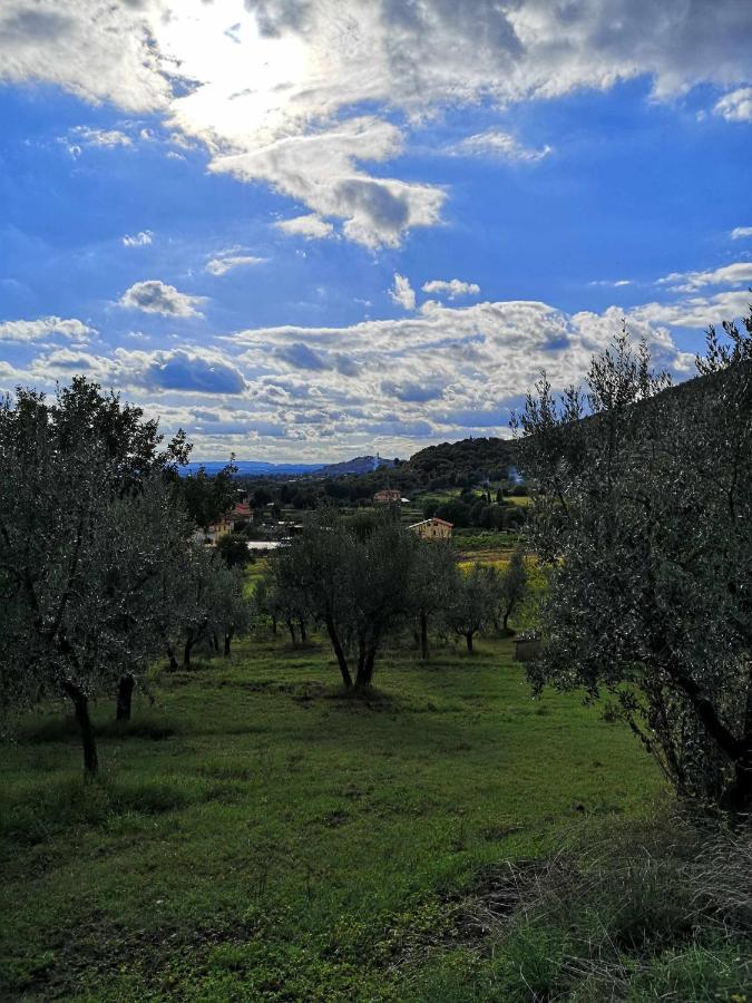 Bed and Breakfast Alba Morus Bed E Breakfast Sentiti A Casa Nel Cuore Della Toscana à Arezzo Extérieur photo