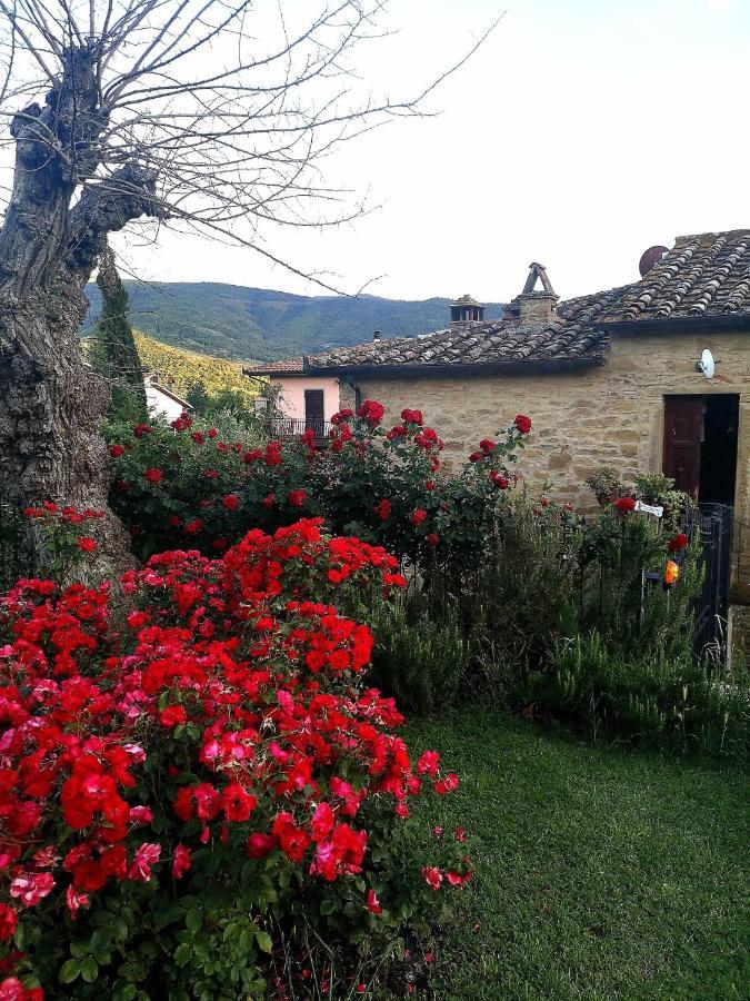 Bed and Breakfast Alba Morus Bed E Breakfast Sentiti A Casa Nel Cuore Della Toscana à Arezzo Extérieur photo